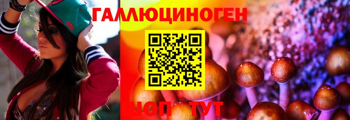 Псилоцибиновые грибы Cubensis Алексин